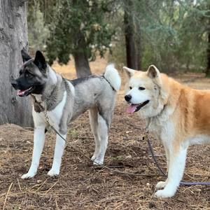 Meet your Posher, Jan